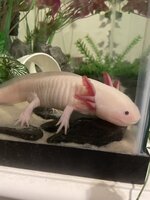 IMG_5530.jpeg