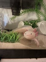 IMG_4152.jpeg