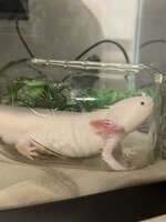 IMG_5230.jpeg