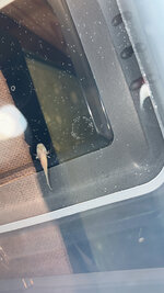 IMG_2007.jpeg