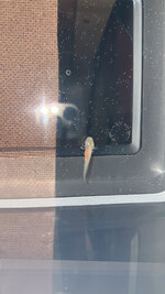 IMG_2005.jpeg