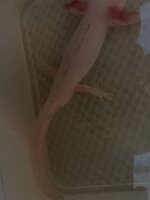 IMG_1124.jpeg