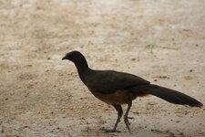 IMG_4657.JPG