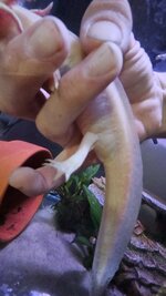 20250503_102910.jpg