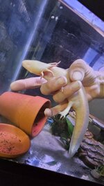 20250503_102904.jpg