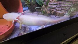 20250503_102828.jpg