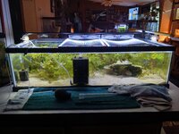 20250505_190541.jpg