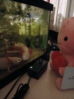 20241126_003935.jpg