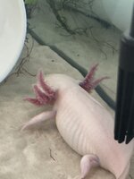 IMG_7791.jpeg