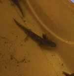 IMG_4055.jpeg