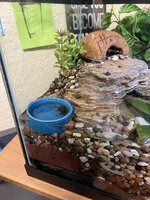 IMG_9073.jpeg