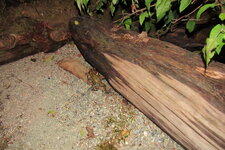 IMG_9761.JPG