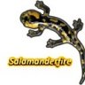 Salamanderfire