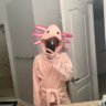 AxoTaco
