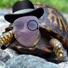 Turtsmcgee