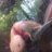 aubiee