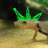 salamanderfreak