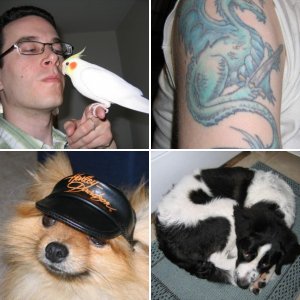 My Animals