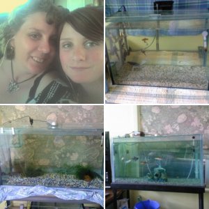 my axies