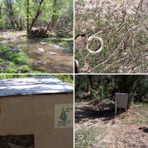 Our Camping Trip