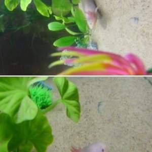 Mr.Jellybones n me :3