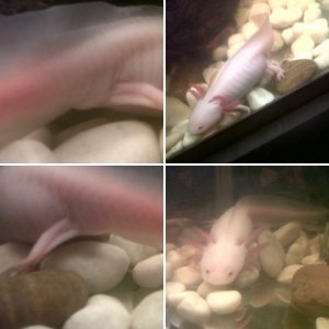 my little one