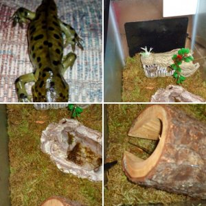 Journeys of Smaug