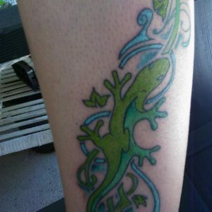 My Tribute to salamanders