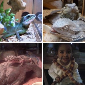 our zoo