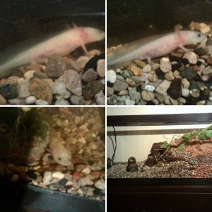 My terrerium