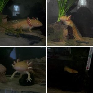 Itzi and Eren