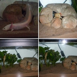 Aquarium