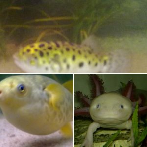 My Babies