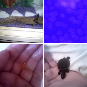 My Little Colection xD