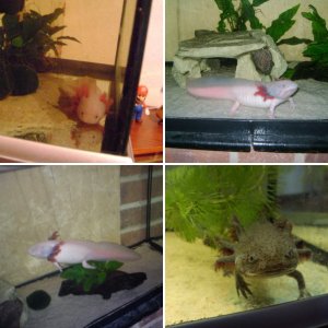 My babies