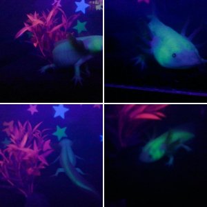 Glowing Glowstick