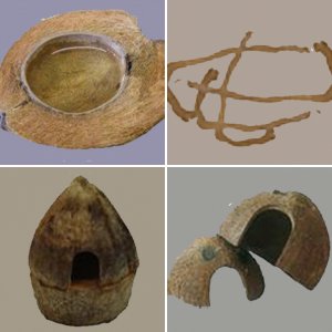 Reptile wooden Hides