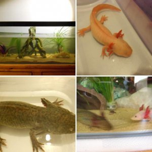 My Babies :)