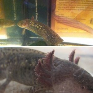 Newest addition to the family