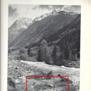 Tank plan
