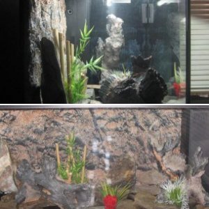 my aquarium