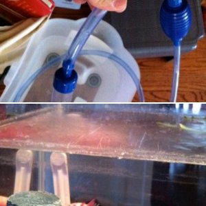 Pics for question posts