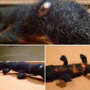 Needle Felted Newts
