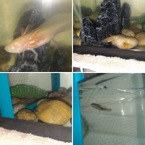 New babies!