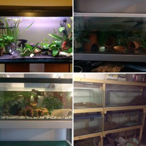 Equipment, Set-ups, Etc