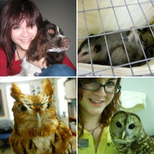 Other critters