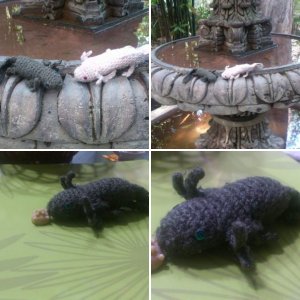 yarn axolotls