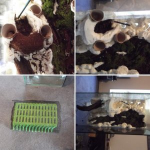 Vivarium progect
