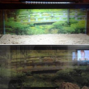 new tank