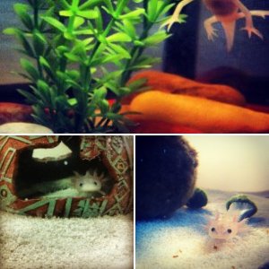 My babies <3